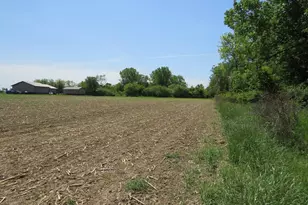 4670 Rescue Rd, Owendale, MI 48754 - Photo 84