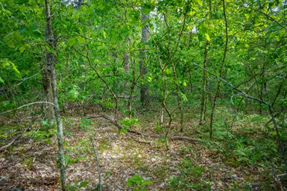 Dorsey Drive, Baldwin, MI 49304 - Photo 12