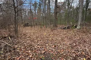 4335 Kings Corner Rd, Glennie, MI 48737 - Photo 58