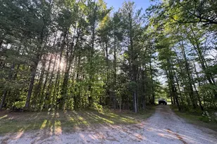 4335 Kings Corner Rd, Glennie, MI 48737 - Photo 40