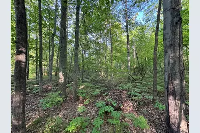 4335 Kings Corner Road, Glennie, MI 48737 - Photo 36