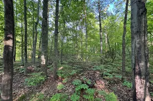 4335 Kings Corner Rd, Glennie, MI 48737 - Photo 36