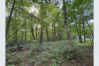 4335 Kings Corner Road, Glennie, MI 48737 - Photo 38