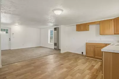 209 S River Street, Evart, MI 49631 - Photo 4