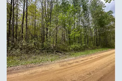 Lot 82 Antler Drive, Harrison, MI 48625 - Photo 8