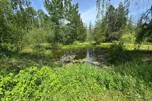 1952 W 16 Rd, Mesick, MI 49668 - Photo 32
