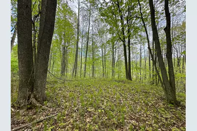 Lot 97 Fawn Circle, Harrison, MI 48625 - Photo 12