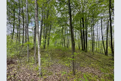 Lot 103 Fawn Circle, Harrison, MI 48625 - Photo 8