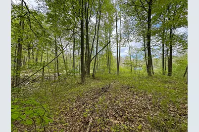 Lot 103 Fawn Circle, Harrison, MI 48625 - Photo 10