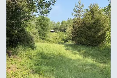 Parcel B E M-79, Nashville, MI 49073 - Photo 4