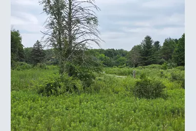6172 Lake Road, Barryton, MI 49305 - Photo 1