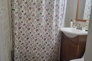 14185 Conover Pl, Romulus, MI 48174 - Photo 16