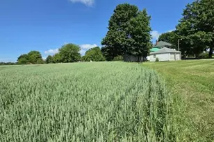 14675 W Hanses Rd, Westphalia, MI 48894 - Photo 18