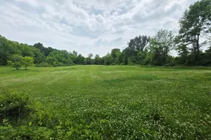 17281 Ely Rd, Manchester, MI 48158 - Photo 84