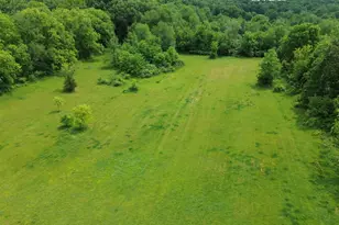 17281 Ely Rd, Manchester, MI 48158 - Photo 58