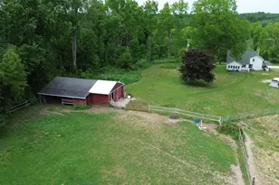 17281 Ely Rd, Manchester, MI 48158 - Photo 44