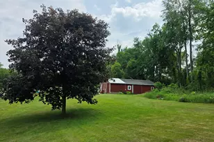 17281 Ely Rd, Manchester, MI 48158 - Photo 70