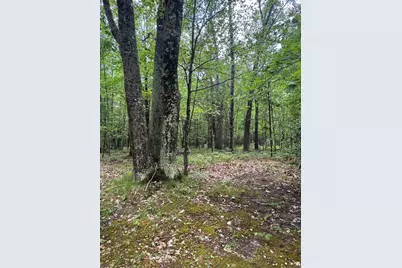 2848 W Pierce Drive, Brohman, MI 49312 - Photo 36