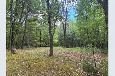 2848 W Pierce Drive, Brohman, MI 49312 - Photo 34