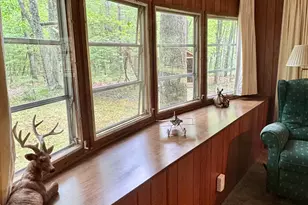 2848 W Pierce Dr, Brohman, MI 49312 - Photo 14