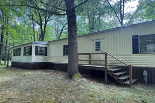 2848 W Pierce Dr, Brohman, MI 49312 - Photo 44