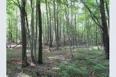 Vl Elkton Road, Owendale, MI 48754 - Photo 2