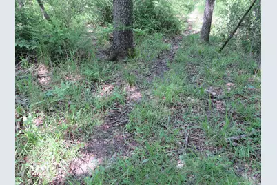 Vl Elkton Road, Owendale, MI 48754 - Photo 16