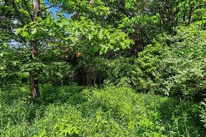 Vl Hopcraft Road, Onondaga, MI 49264 - Photo 6