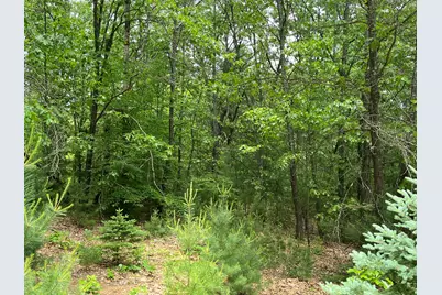 9190 150th Avenue, Stanwood, MI 49346 - Photo 8