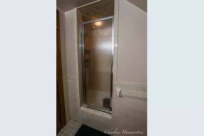9111 Summit Avenue NE, Rockford, MI 49341 - Photo 64