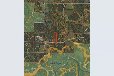 Dickson Road, Brethren, MI 49619 - Photo 8