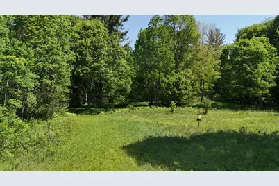 Dickson Road, Brethren, MI 49619 - Photo 4