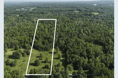 Dickson Road, Brethren, MI 49619 - Photo 2