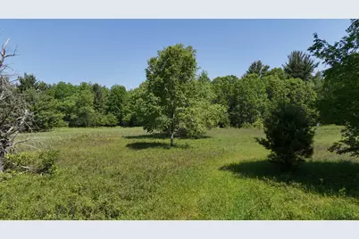 Dickson Road, Brethren, MI 49619 - Photo 12