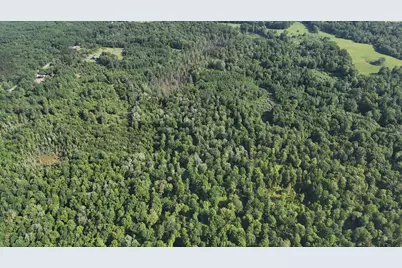 Dickson Road, Brethren, MI 49619 - Photo 18