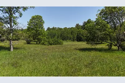 Dickson Road, Brethren, MI 49619 - Photo 14