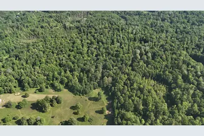 Dickson Road, Brethren, MI 49619 - Photo 26