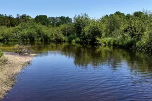 17274 Wilson Rd, Big Rapids, MI 49307 - Photo 40