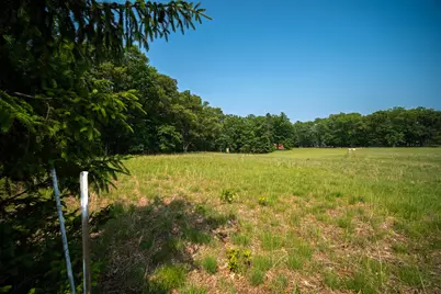 8161 N Hunters Ridge Drive, Irons, MI 49644 - Photo 10