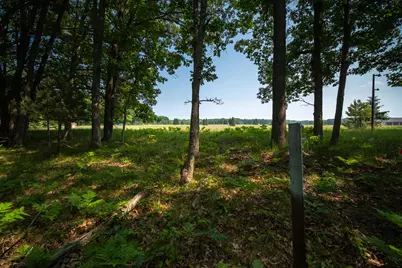 8161 N Hunters Ridge Drive, Irons, MI 49644 - Photo 20