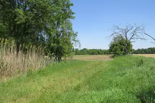 4670(B) Rescue Rd, Owendale, MI 48754 - Photo 60