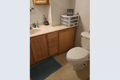 1453 Yeomans Street, Ionia, MI 48846 - Photo 20