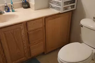 1453 Yeomans St, Ionia, MI 48846 - Photo 20