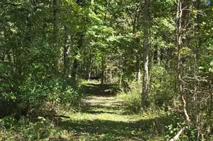 1284 Maple Grove Rd, Jackson, MI 49201 - Photo 96