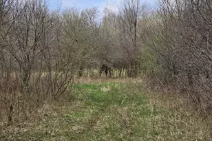 1284 Maple Grove Rd, Jackson, MI 49201 - Photo 34