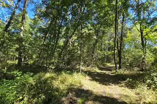 1284 Maple Grove Rd, Jackson, MI 49201 - Photo 114