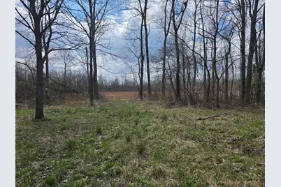 1284 Maple Grove Road, Jackson, MI 49201 - Photo 28