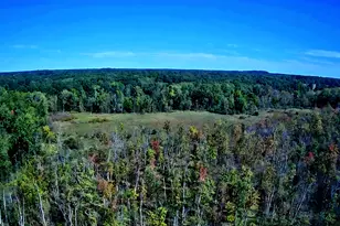 1284 Maple Grove Rd, Jackson, MI 49201 - Photo 58