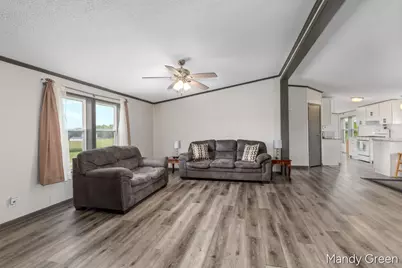 1007 Dildine Road, Ionia, MI 48846 - Photo 10