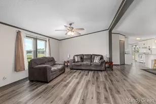 1007 Dildine Rd, Ionia, MI 48846 - Photo 10